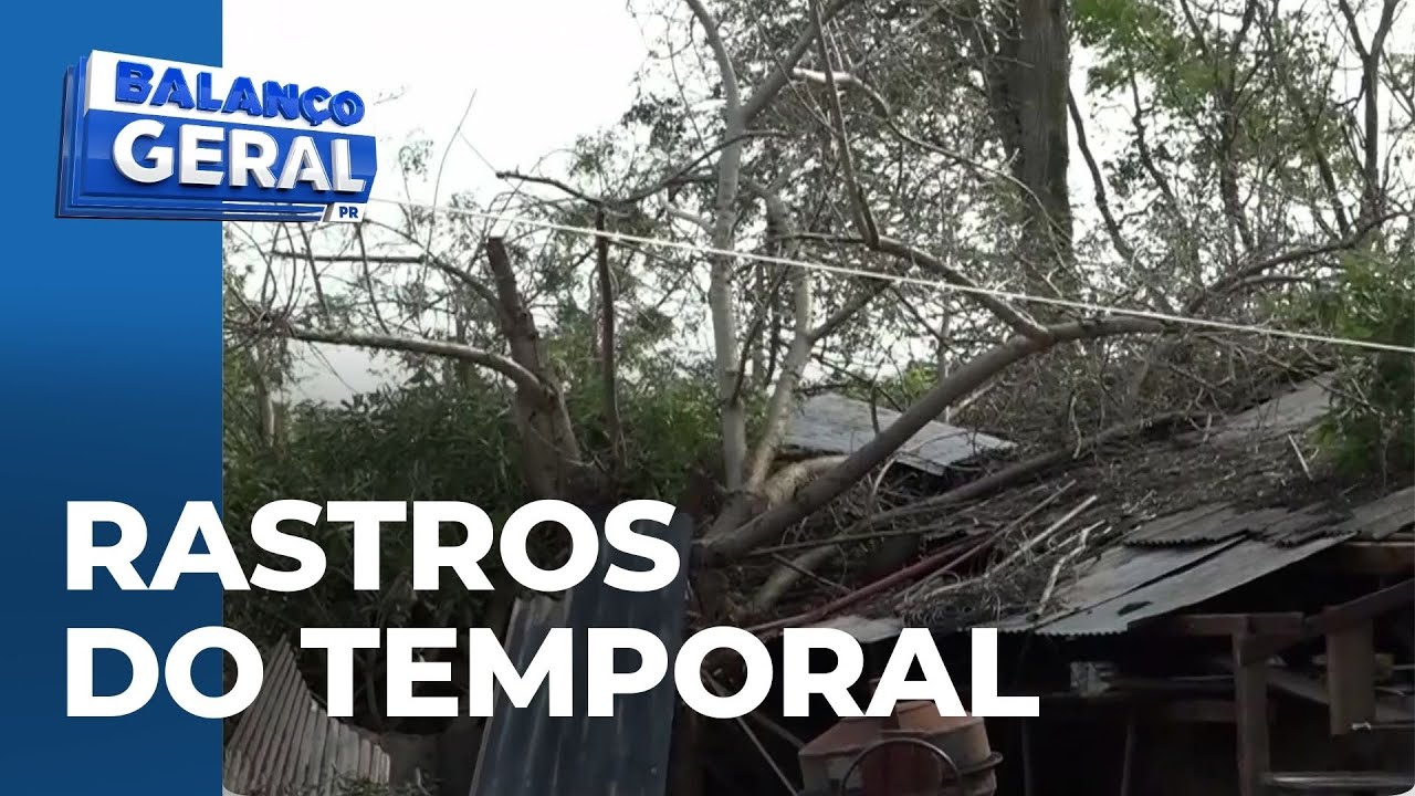 Região oeste sofre com estragos causados por ventos de quase 90 km/h
