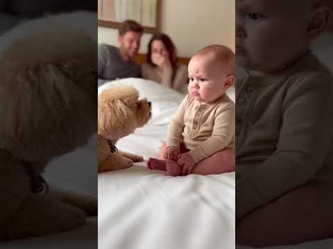 🍼 Baby’s Silent Reaction to Barking Dog Is Hilarious! 🤯🐶 #baby #cute #funny #family