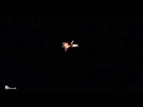 76 Pro Line - Gold Wave Criss Cross 60mm