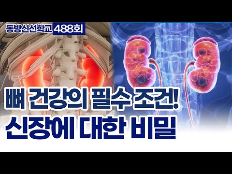 기초(숨) 수행과정