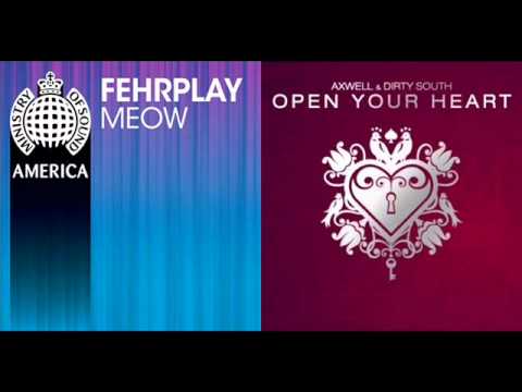 Fehrplay vs. Dirty South & Axwell - Meow vs. Open Your Heart (TheHouseDJProduction Bootleg)