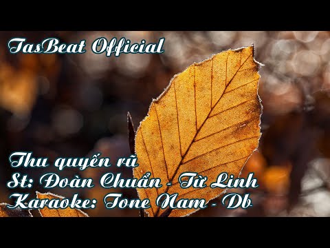 Karaoke Thu Quyến Rũ - Tone Nam | TAS BEAT