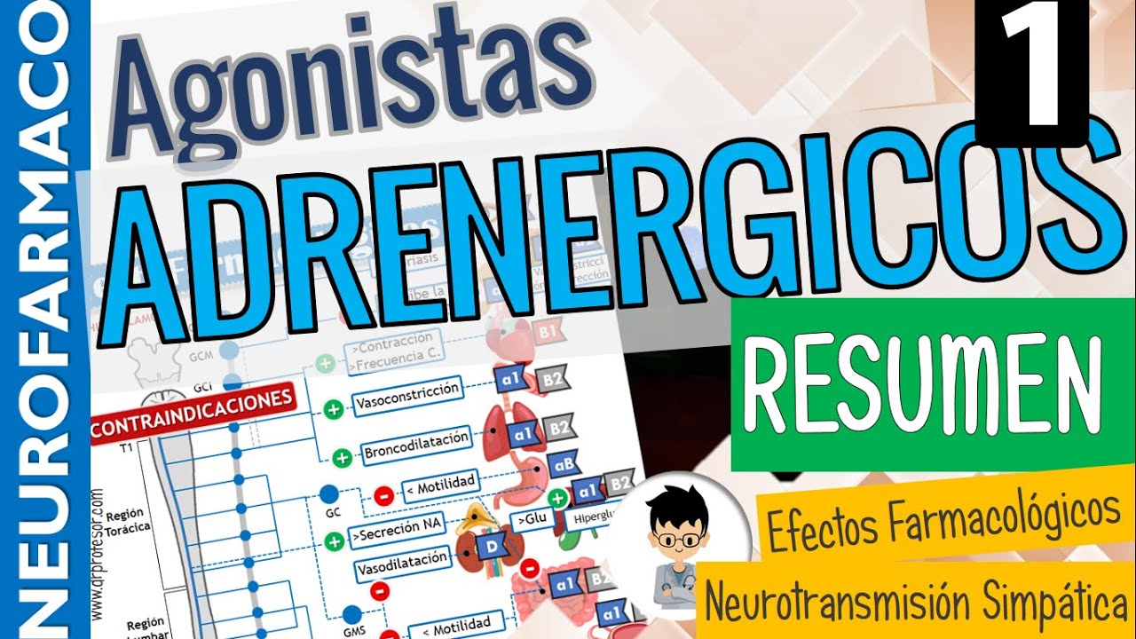 SIMPATICOMIMÉTICOS, RESUMEN, CLASIFICACIÓN, Sinapsis Adrenérgica, Receptores adrenérgicos |PARTE 1
