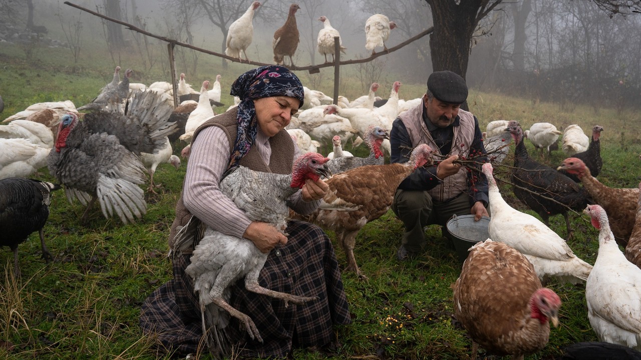 Rustic Turkey Pilaf Cooked the Village Way 🌶