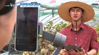 [새싹 농부 예찬 씨의 멜론 드라마] 초보 농부의 든든한 지원군은?