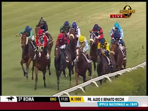 Kathy Dream - Premio Aldo e Renato Ricchi, HP