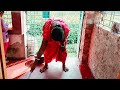 Bengali Floor Cleaning Vlog