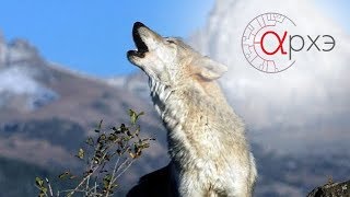 Как советские люди жили в квартирах с хищниками: 3 истории