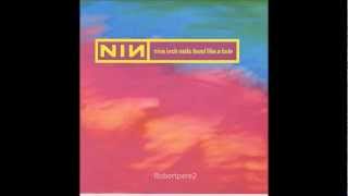 Nine Inch Nails - Head Like A Hole (Slate) 1990