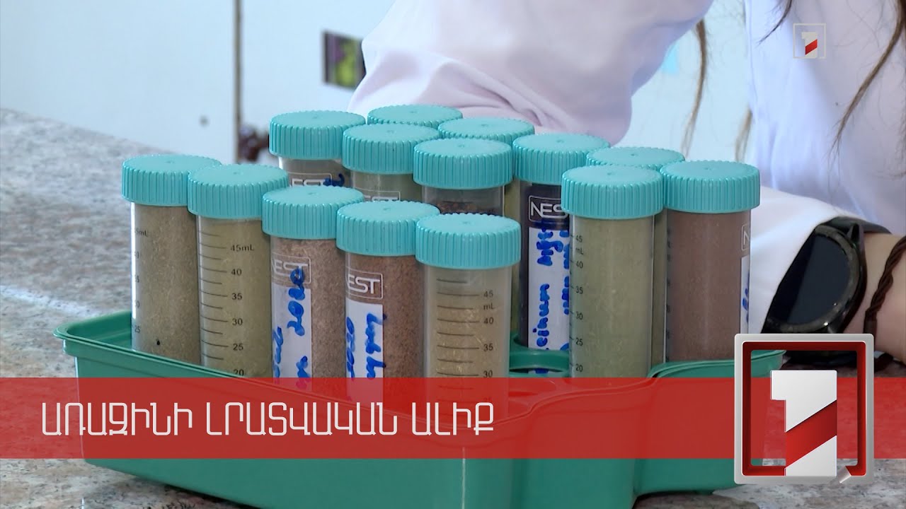 Հայ գիտնականները քաղցկեղի բուժման նոր մոդել են մշակում