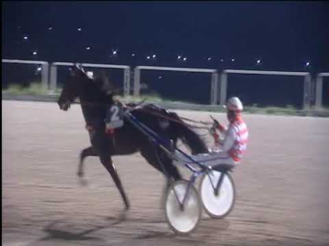 Trotto 23/11/2018 - 7ª corsa - TRIS