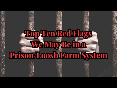 Top Ten Red Flags We May Be in a Prison/Loosh Farm System