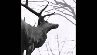 Agalloch - A Celebration For The Death Of Man (SVG Cover)