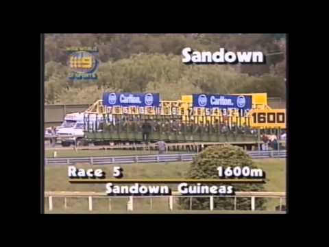 1991 VATC Sandown Guineas _ Star Video