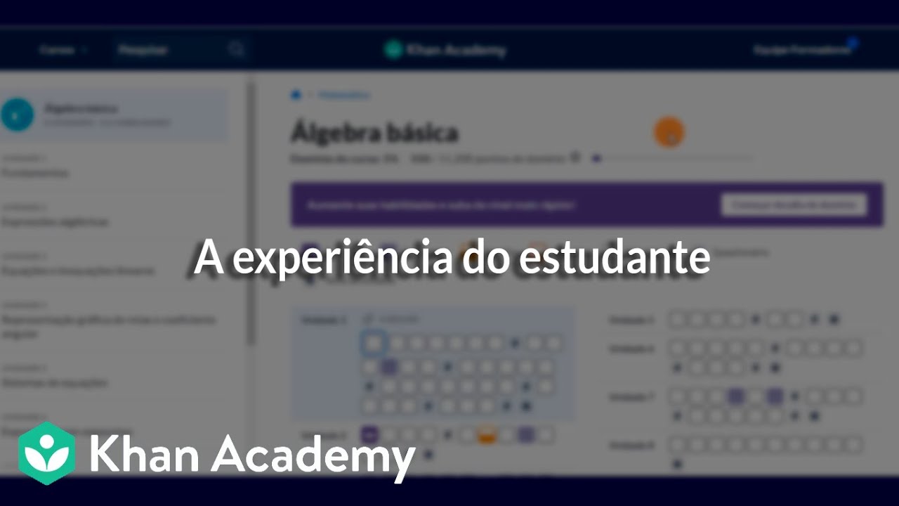 A experiência do estudante