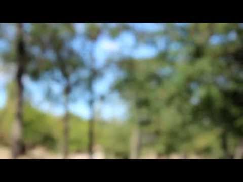 Hoy Es El Día - Paradoxus Luporum