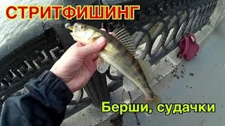 Рыбалка на москва реке в нагатинский затон