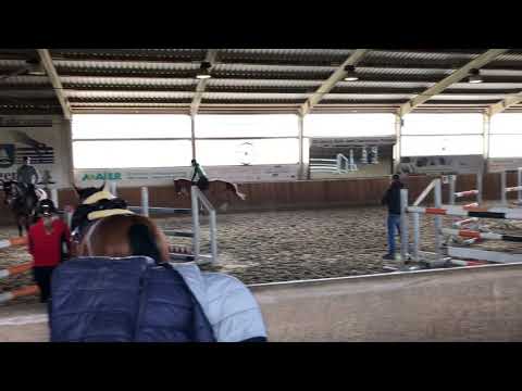 Briatore v. Balou du Rouet x Dublin/Ramiro Z