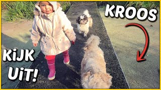 NiET iN HET WATER SPRiNGEN! 🐶 | Bellinga Vlog #1565