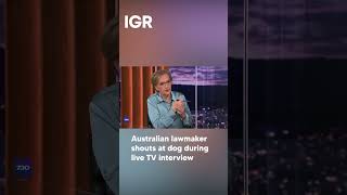 Australian Lawmaker Shouts at Dog During Live TV Interview | IGR | India Global Review