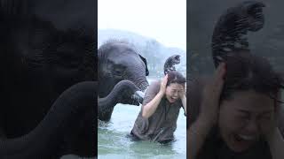 【プーケット】トラ・ゾウとのふれあいを楽しもう！