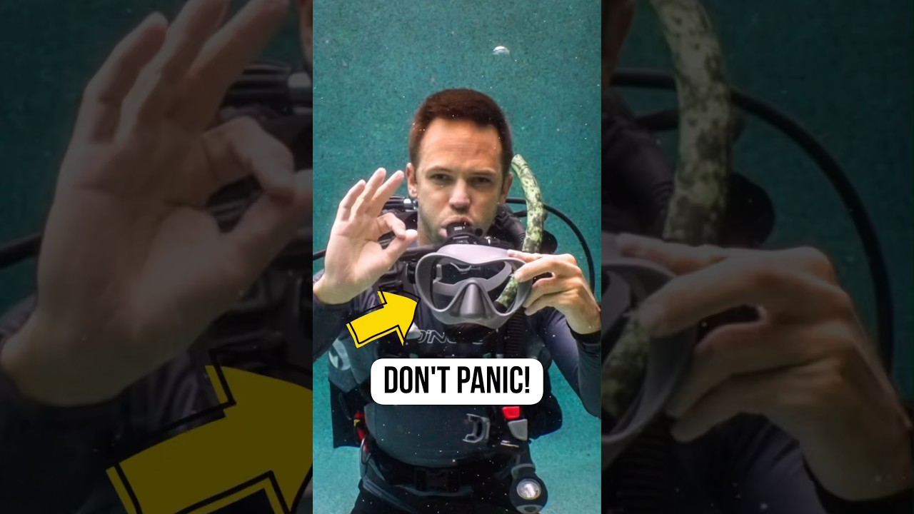 Scuba mask fell off? Don’t panic, do this!