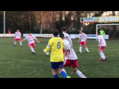 Korte samenvatting  Valleivogels -  VRC 3-0