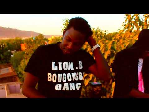 Teaser du clip Gordon Lion B feat Triade OG