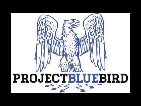Project Bluebird Teaser