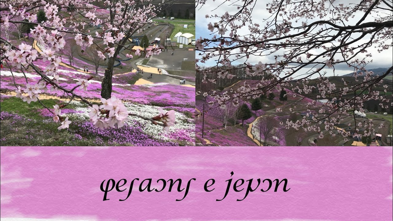 ［人工言語　アルカ］桜の小路