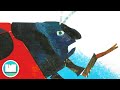 🐞The Grouchy Ladybug - Animated Read Aloud