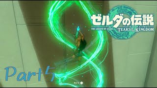 お、物理法則？？？？？？-ゼルダの伝説 Tears of the Kingdom -part5-