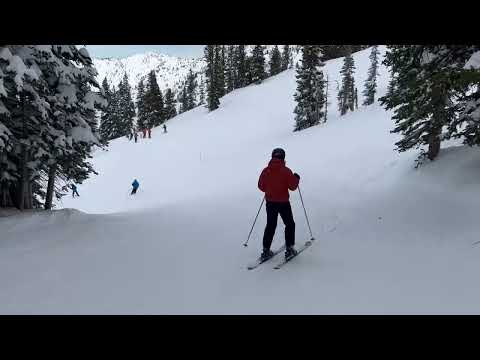 Kookoo's Cruise, Alta '23