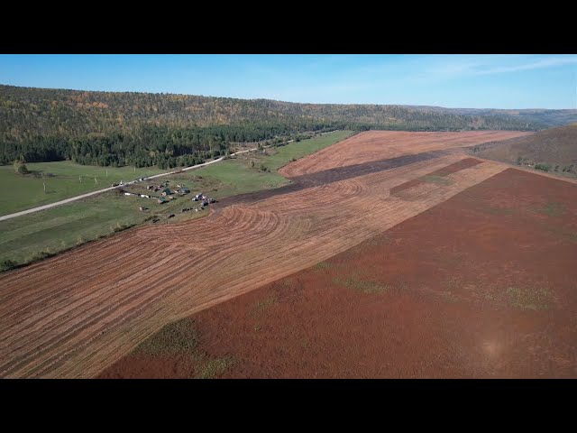Конкурсная комиссия по развитию земледелия при Министерстве сельского хозяйства завершила свою работу в Иркутской области
