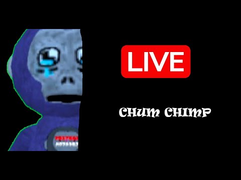 CHUM CHIMP LIVE!!! JOIN ROOM 7! @PiquantLynx