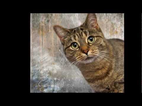 GIULIANA FERRABOLI - Valse pour Michel (Stephane Delicq)