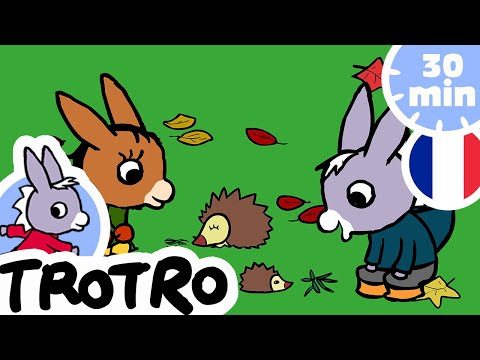 30 Minutes de Trotro - Les Meilleurs Épisodes de Trotro !