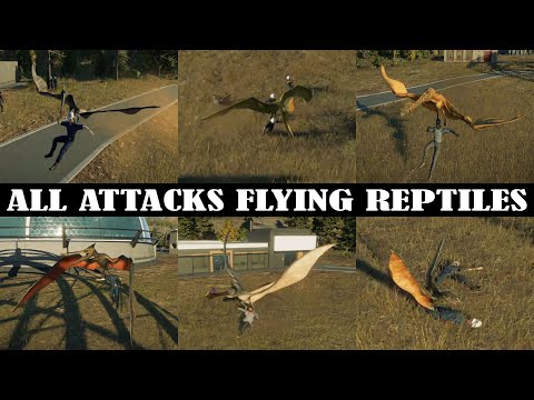 ALL FLYING REPTILES HUNTING A HUMAN | JURASSIC WORLD EVOLUTION 2