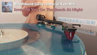 Bloodhound Gang - Screwing You On The Beach At Night (2021 Vinyl Rip)