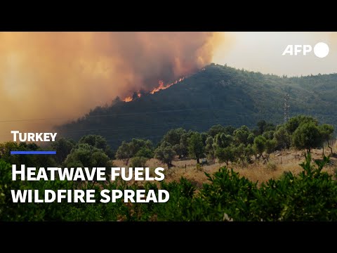Turkey battles several wildfires as heatwave fuels rapid spread | AFP