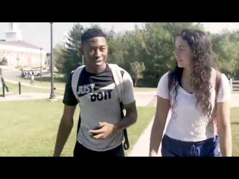 Department of Business Overview