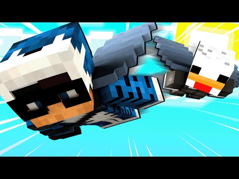 SFIDO BELLAFACCIA AD UNA GARA CON LE ELYTRA - MINECRAFT ITA