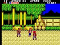 Double Dragon Sega Master System Playthrough