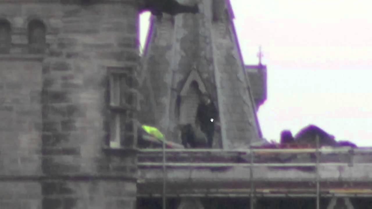 Объектив Canon EF 75-300mm f/4-5.6 III USM