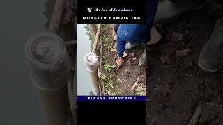 Download lagu HOW TO FISH FOR MONSTER EELS IN A MAGIC HOLE❗ mp3 Download lagu HOW TO FISH FOR MONSTER EELS IN A MAGIC HOLE❗ mp3