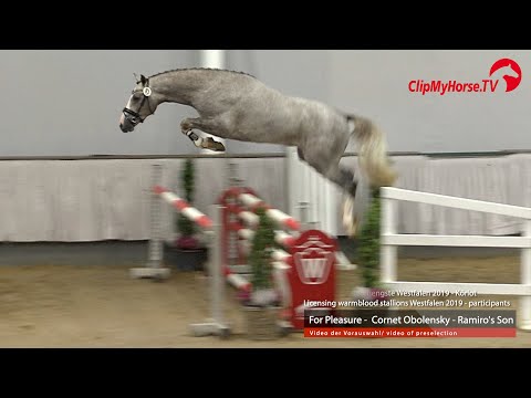 Hengst v. For Pleasure - Cornet Obolensky - Ramiro`s Son