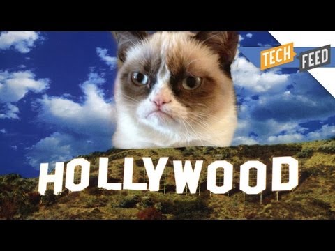 Grumpy Cat: The Movie!