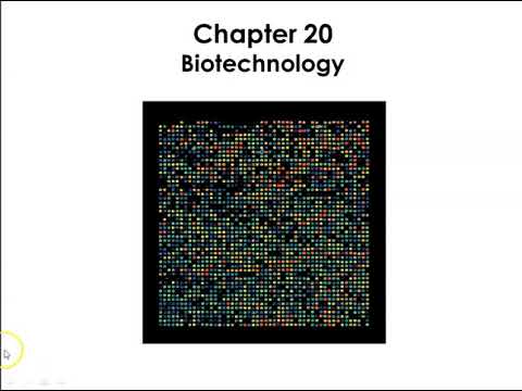 Chapter 20 Biotechnology