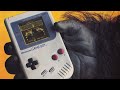 Donkey Kong
