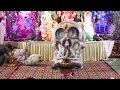 Shiv Aghori Mahakaal Jhanki Bhagwati Jagran Budh Nagar Inderpuri Part 1